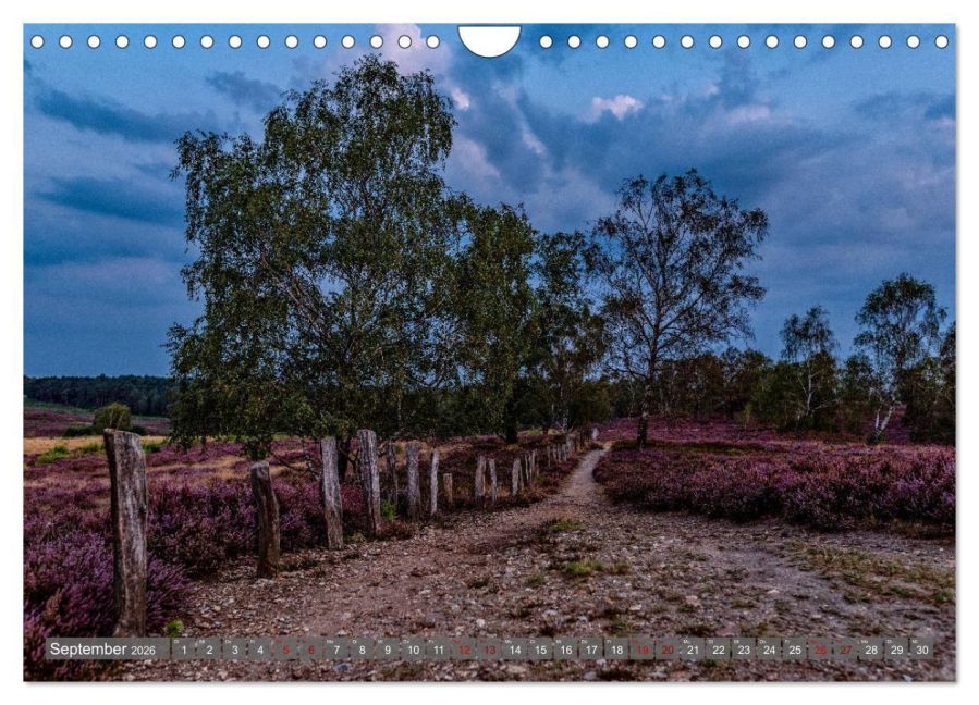 InsideView 14
