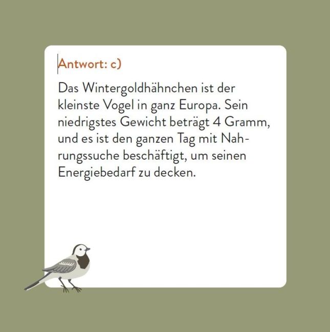 InsideView 4