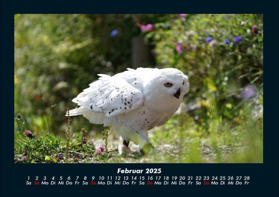InsideView 6