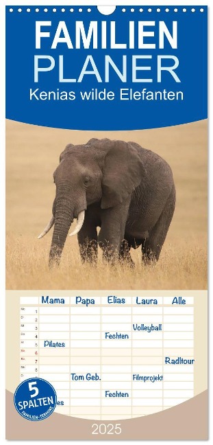 Familienplaner 2025 - Kenias wilde Elefanten mit 5 Spalten (Wandkalender, 21 x 45 cm) CALVENDO - Andreas Demel