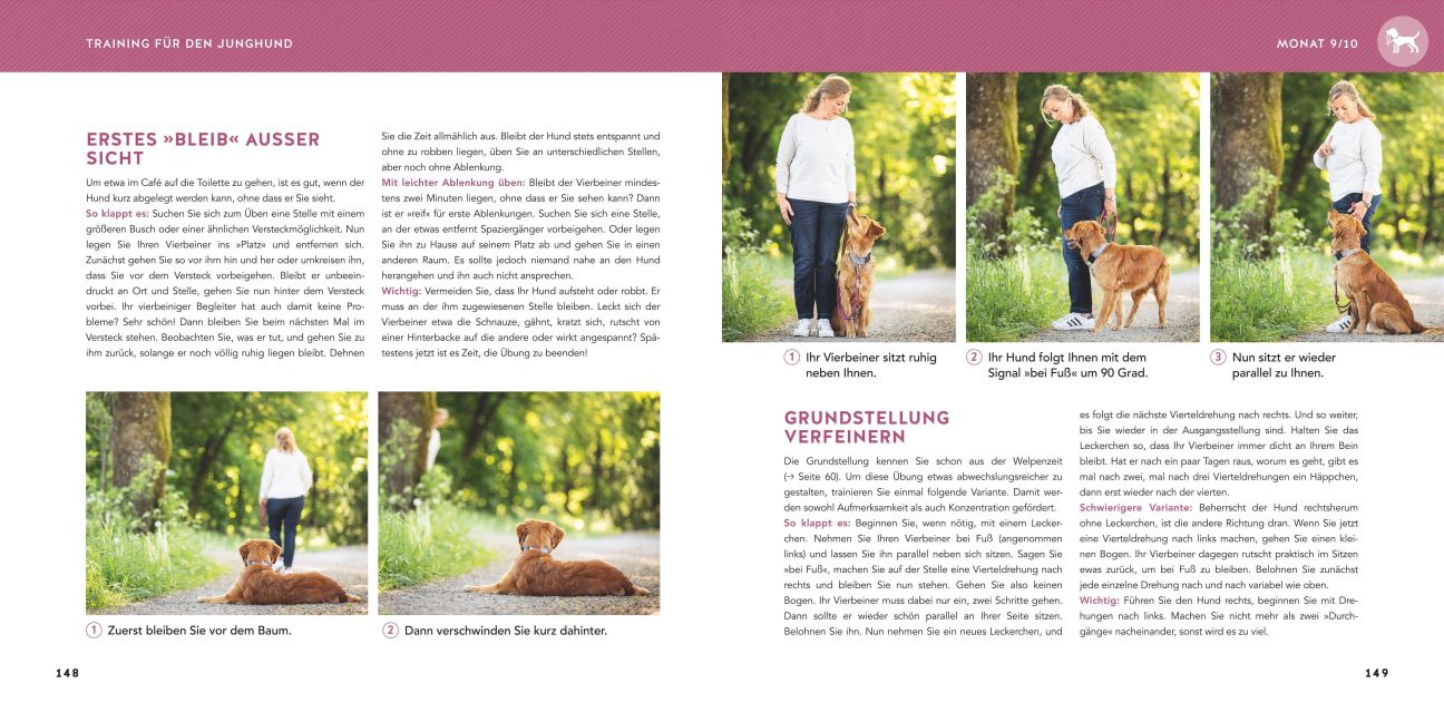 InsideView 8