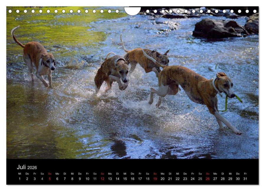 InsideView 12
