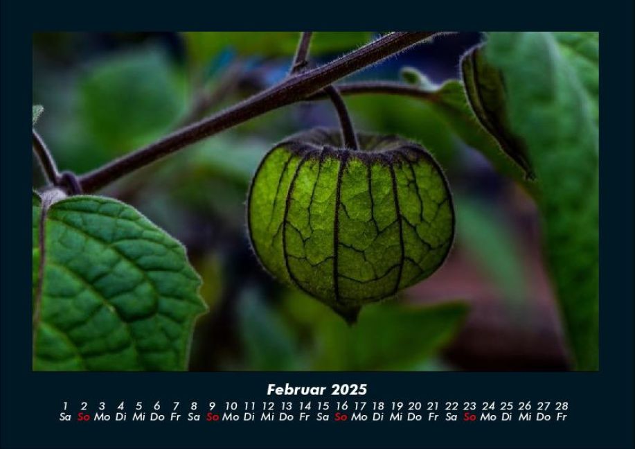 InsideView 6