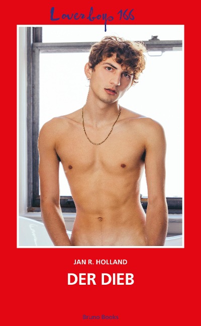 Loverboys 166: Der Dieb - Jan R. Holland