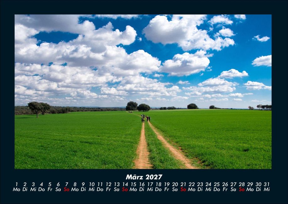 InsideView 7