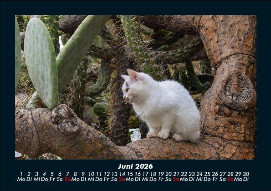 InsideView 10