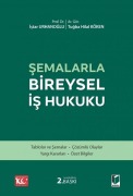 Cover-Bild zum Titel 'Semalarla Bireysel Is Hukuku' von 'Istar Urhanoglu'