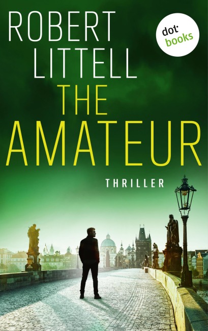 The Amateur - Robert Littell