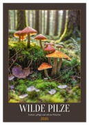 Cover-Bild zum Titel 'WILDE PILZE - Essbare, giftige und seltene Pilzarten (Tischkalender 2026 DIN A5 hoch), CALVENDO Monatskalender' von 'Mb Fotografie'