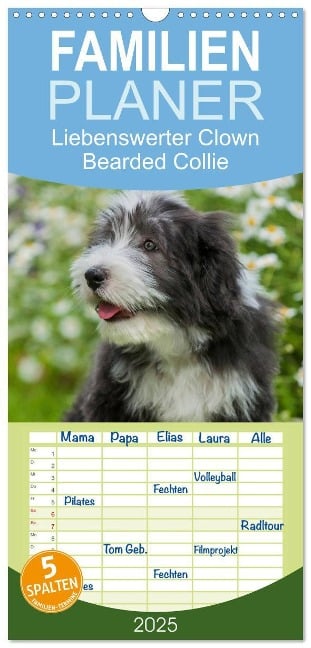 Familienplaner 2025 - Liebenswerter Clown Bearded Collie mit 5 Spalten (Wandkalender, 21 x 45 cm) CALVENDO - Sigrid Starick