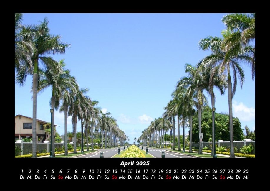 InsideView 8