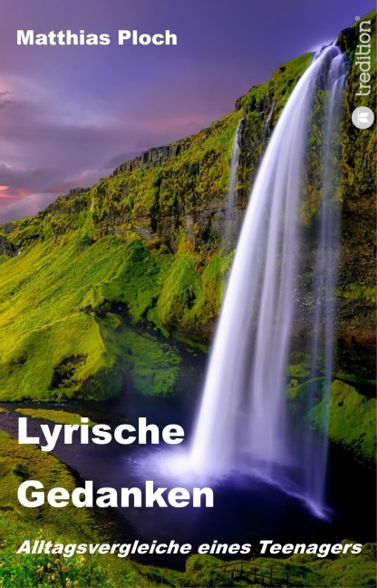 Lyrische Gedanken - Matthias Ploch