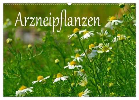 Arzneipflanzen (Wandkalender 2025 DIN A2 quer), CALVENDO Monatskalender - LianeM LianeM