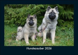 Cover-Bild zum Titel 'Hundezauber 2026 Fotokalender DIN A5' von 'Tobias Becker'