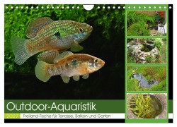 Cover-Bild zum Titel 'Outdoor-Aquaristik (Wandkalender 2027 DIN A4 quer), CALVENDO Monatskalender' von 'Rudolf Pohlmann'