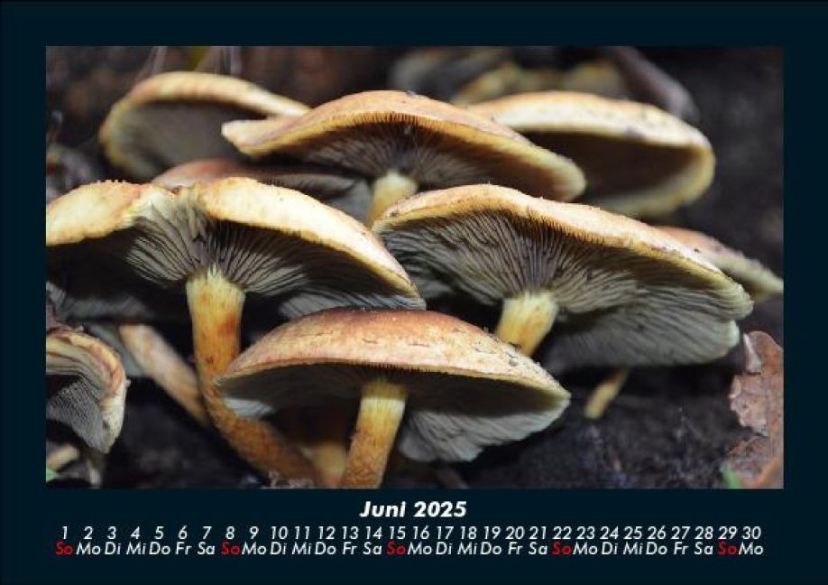 InsideView 10