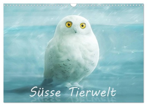 Süsse Tierwelt / Geburtstagskalender (Wandkalender 2024 DIN A3 quer), CALVENDO Monatskalender - Silvio Schoisswohl