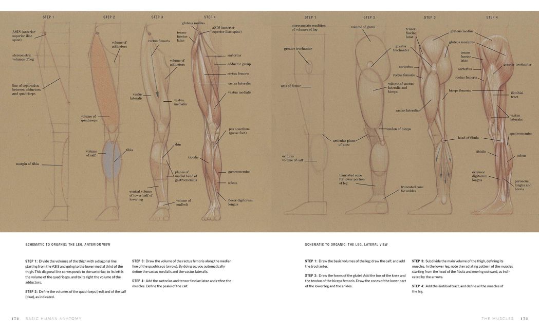 InsideView 8