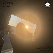 Cover-Bild zum Titel 'Kaiko' von 'Treen'