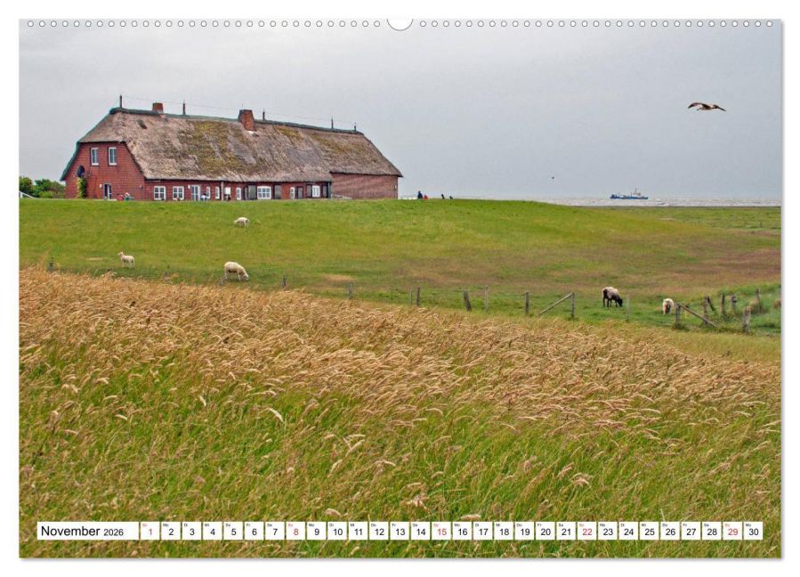 InsideView 3