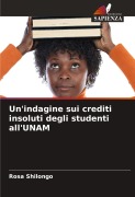 Cover-Bild zum Titel 'Un'indagine sui crediti insoluti degli studenti all'UNAM' von 'Rosa Shilongo'
