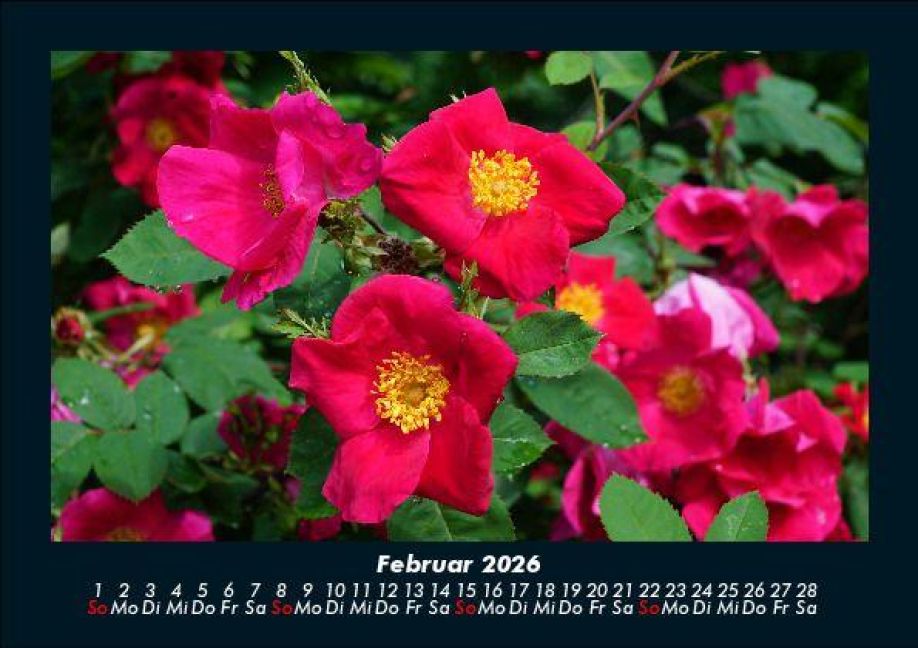 InsideView 6