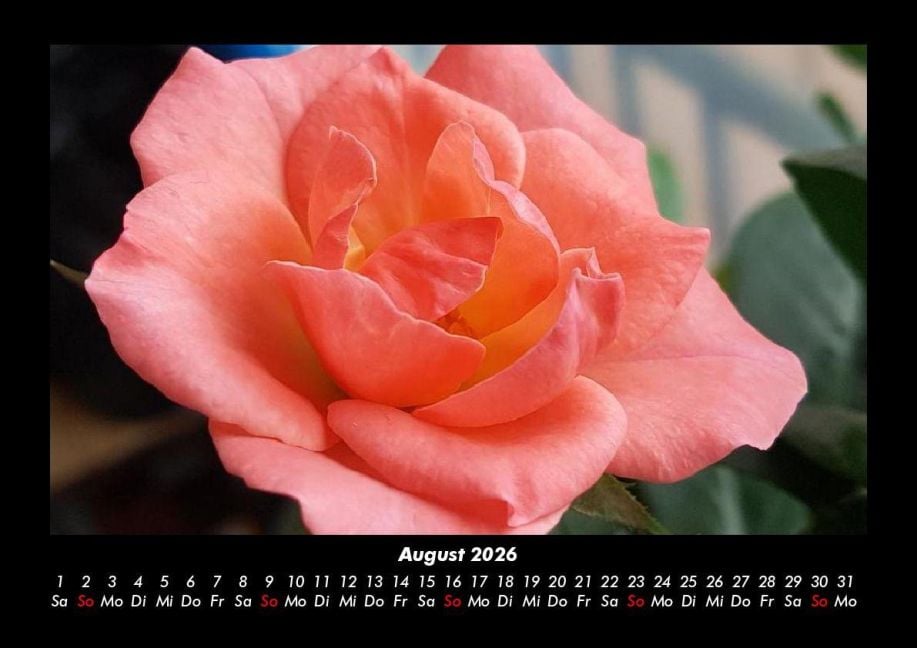 InsideView 12