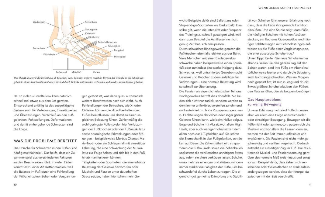 InsideView 2
