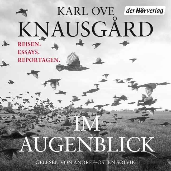 Im Augenblick - Karl Ove Knausgård