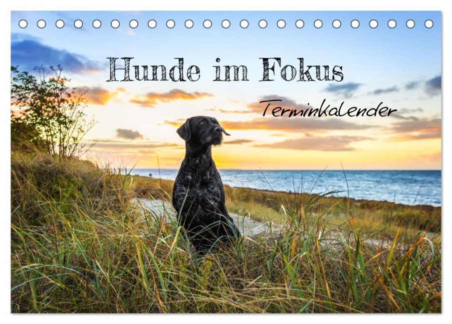 Hunde im Fokus (Tischkalender 2026 DIN A5 quer), CALVENDO Monatskalender - Bc Tierfotografie Bianca Clemens