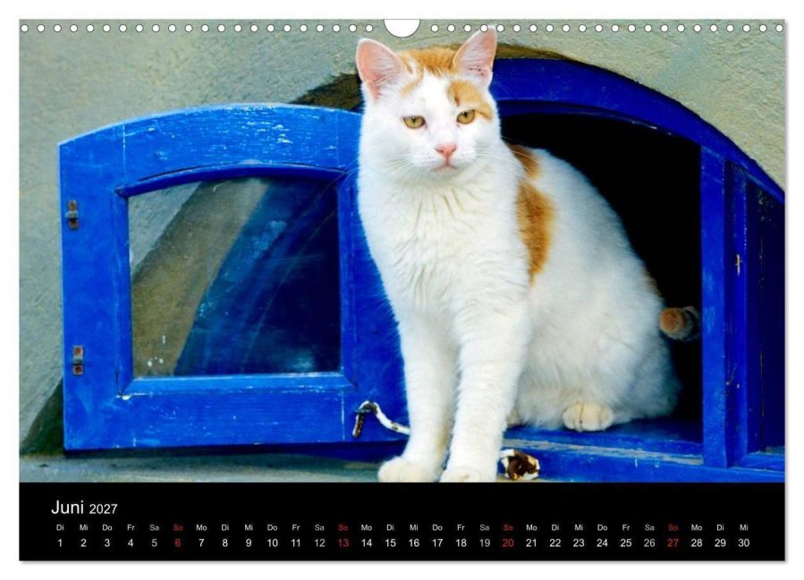 InsideView 11