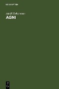 Cover-Bild zum Titel 'Agni' von 'Adolf Holtzmann'