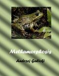 Cover-Bild zum Titel 'Metamorphosis' von 'Andrzej Galicki'