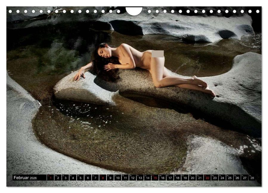 InsideView 7