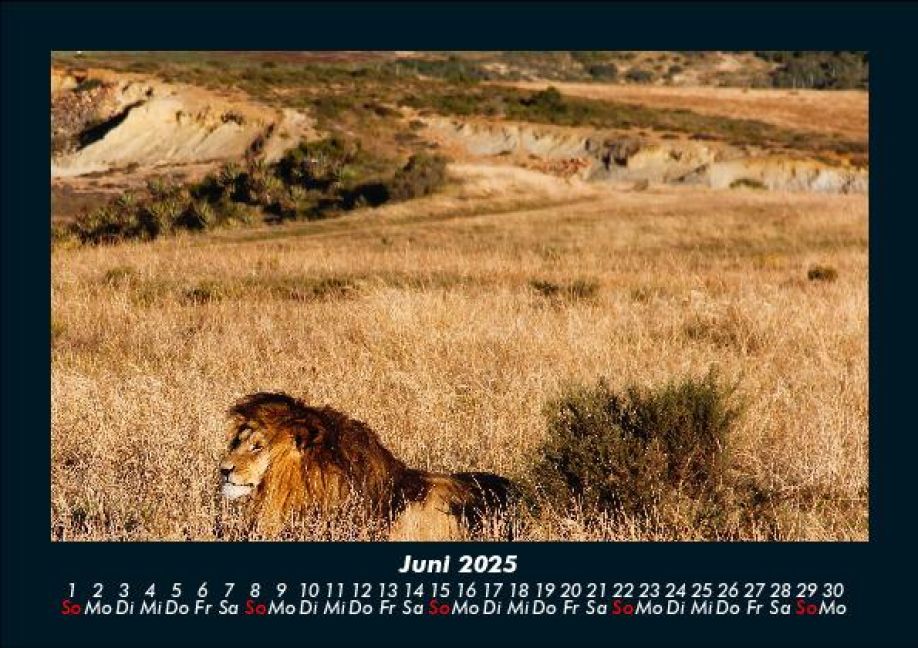 InsideView 10