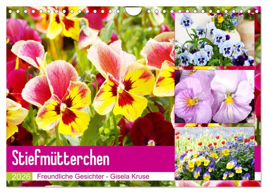 Stiefmütterchen Freundliche Gesichter (Wandkalender 2026 DIN A4 quer), CALVENDO Monatskalender - Gisela Kruse