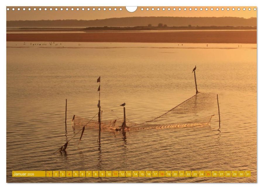 InsideView 6