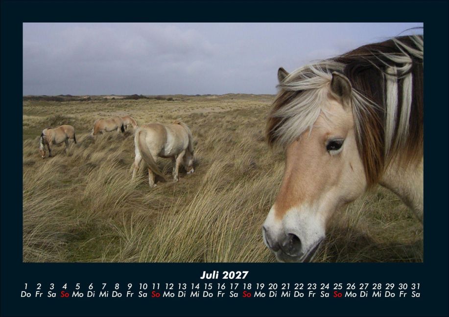 InsideView 11