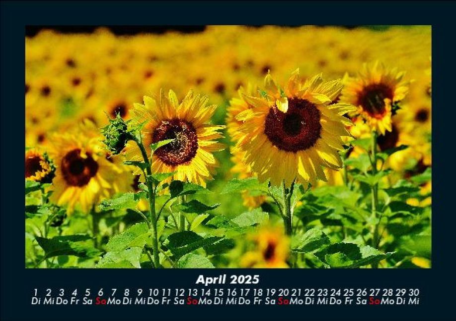 InsideView 8