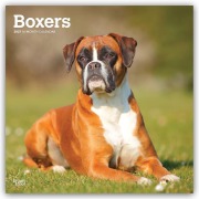 Cover-Bild zum Titel 'Boxers - Boxer 2027 - 16-Monatskalender' von 'Browntrout Publishers'