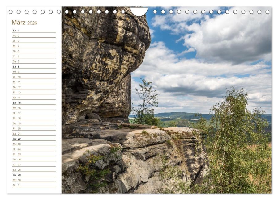 InsideView 8