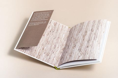 InsideView 6