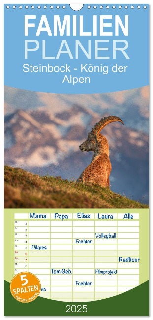 Familienplaner 2025 - Steinbock - König der Alpen mit 5 Spalten (Wandkalender, 21 x 45 cm) CALVENDO - David Oberholzer - www. davidoberholzer. ch