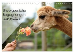 Cover-Bild zum Titel 'Unvergessliche Begegnungen mit Alpakas (Wandkalender 2026 DIN A4 quer), CALVENDO Monatskalender' von 'Heidi Rentschler'
