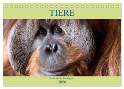 Cover-Bild zum Titel 'Tiere Schau mir in die Augen (Tischkalender 2026 DIN A5 quer), CALVENDO Monatskalender' von 'Armin Joecks'