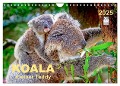 Koala - kleiner Teddy (Wandkalender 2025 DIN A4 quer), CALVENDO Monatskalender - Peter Roder