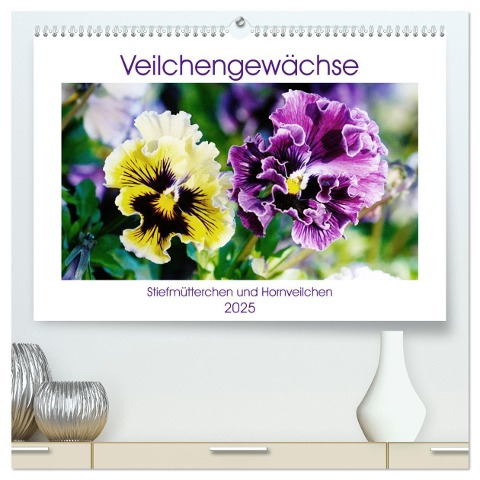 Veilchengewächse - Stiefmütterchen und Hornveilchen (hochwertiger Premium Wandkalender 2025 DIN A2 quer), Kunstdruck in Hochglanz - Gisela Kruse