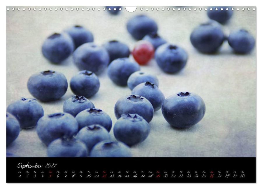 InsideView 14