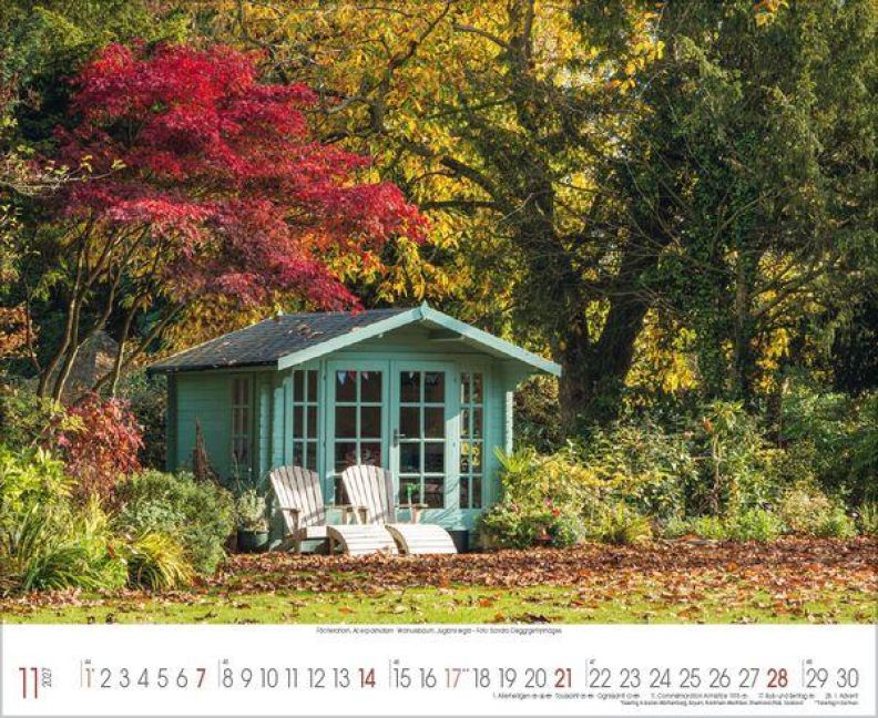 InsideView 11