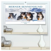 Cover-Bild zum Titel 'Berner Sennenhund - Ein Traum auf vier Pfoten (hochwertiger Premium Wandkalender 2026 DIN A2 quer), Kunstdruck in Hochglanz' von 'Sigrid Starick'